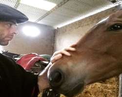 The actor is an avid horse lover.